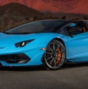 Meet your Posher, Brady